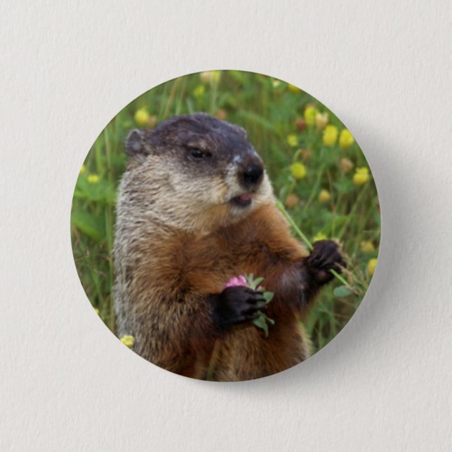 Badge Rond 5 Cm Bouton Pose de marmotte - Plus près (Devant)
