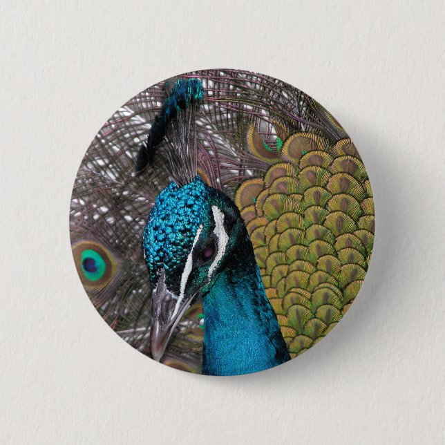 Badge Rond 5 Cm Bouton rond (Devant)