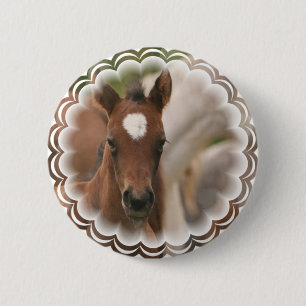 Badge Rond 5 Cm Bouton rond de bébé de cheval