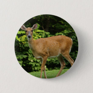 Badge Rond 5 Cm Bouton rond de cerfs communs