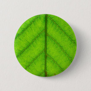 Badge Rond 5 Cm Bouton rond de feuille verte