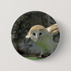 Badge Rond 5 Cm Bouton rond de hibou de grange