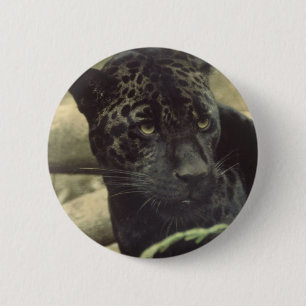 Badge Rond 5 Cm Bouton rond de panthère noire