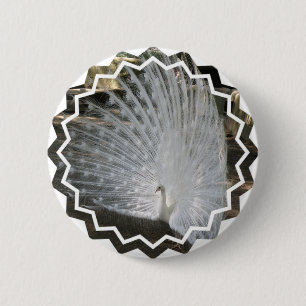 Badge Rond 5 Cm Bouton rond de paon blanc