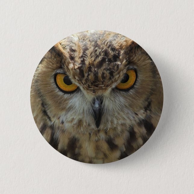 Badge Rond 5 Cm Bouton rond de photo de hibou (Devant)