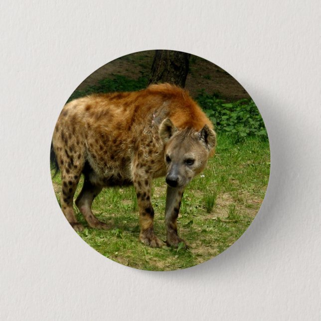 Badge Rond 5 Cm Bouton rond de vagabondage d'hyène (Devant)