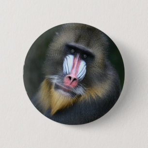 Badge Rond 5 Cm Bouton rond de visage de babouin
