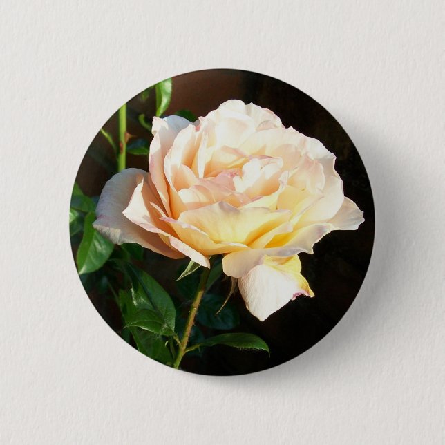 Badge Rond 5 Cm Bouton rose ou insigne (Devant)