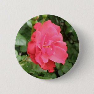 Badge Rond 5 Cm Bouton Rose sauvage