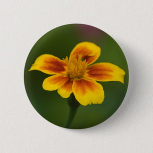 Badge Rond 5 Cm Bouton sans titre