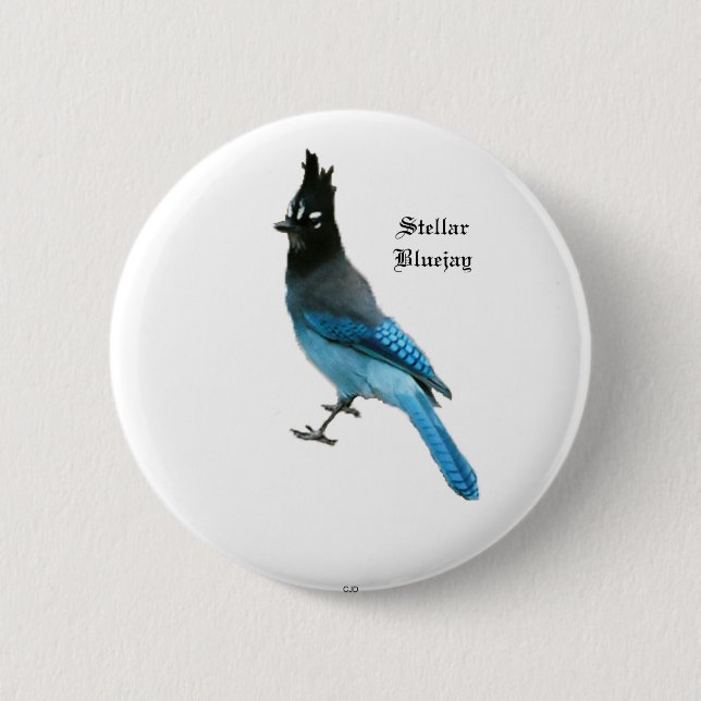 Badge Rond 5 Cm Bouton Stellar Blue Jay (Devant)