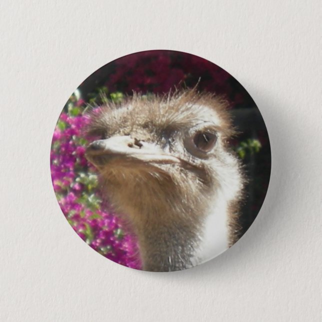 Badge Rond 5 Cm Bouton sud-africain de visage d'autruche (Devant)