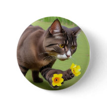 Bouton(thème de chat)