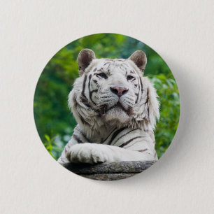 Badge Rond 5 Cm Bouton Tiger blanc