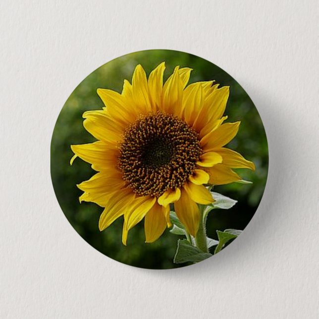 Badge Rond 5 Cm Bouton tournesol (Devant)