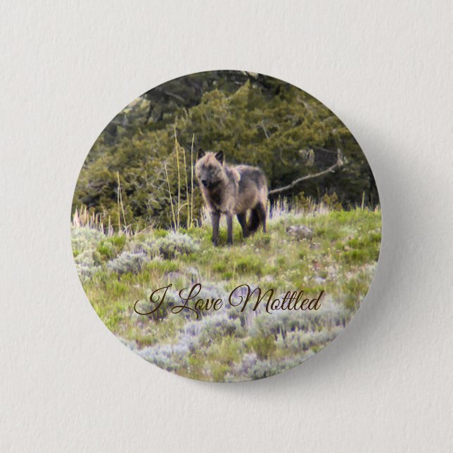Badge Rond 5 Cm Bouton Trait Oncle (Devant)