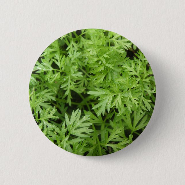 Badge Rond 5 Cm Bouton Trucs de carotte (Devant)