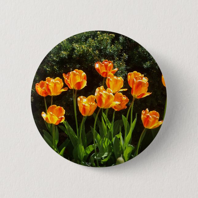 Badge Rond 5 Cm Bouton Tulipe orange jaune (Devant)