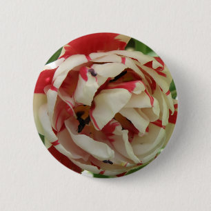 Badge Rond 5 Cm Bouton Tulipe rose et blanc