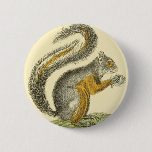 Badge Rond 5 Cm Bouton vintage d'écureuil