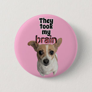 Badge Rond 5 Cm Bouton Voler