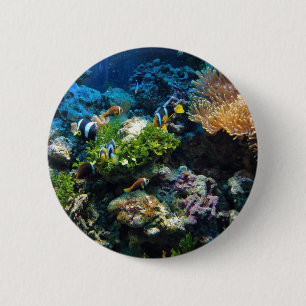 Badge Rond 5 Cm Boutons Corail Reef