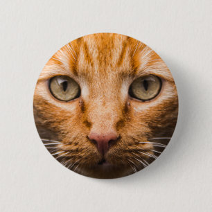 Badge Rond 5 Cm Boutons de chat de regarder