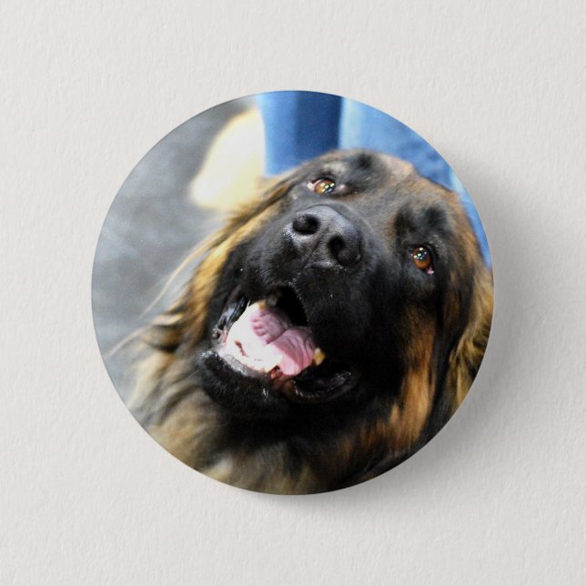 Badge Rond 5 Cm Boutons de Leonberger (Devant)