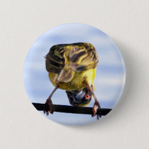 Badge Rond 5 Cm Boutons mignons de birdie