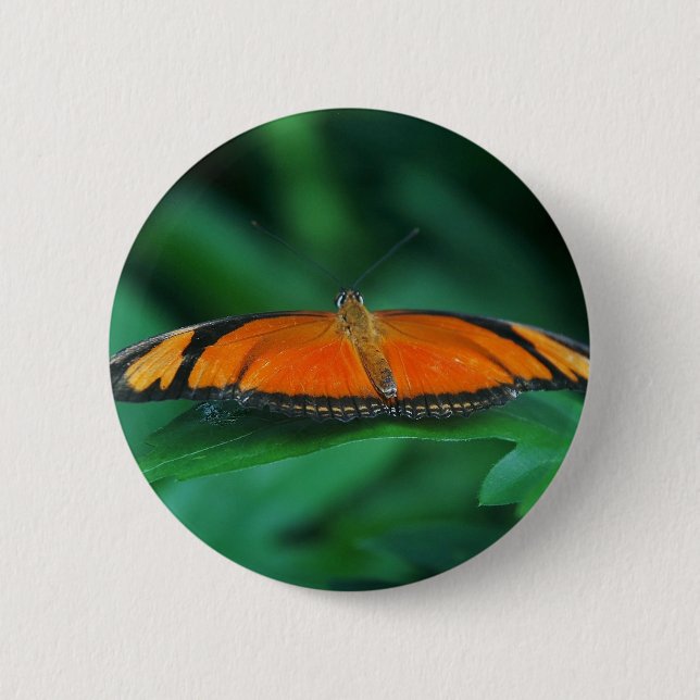 Badge Rond 5 Cm Bright Orange and Black Butterfly on Leaf (Devant)