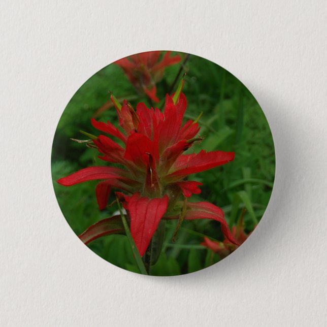 Badge Rond 5 Cm Brosse à peinture indienne (Devant)