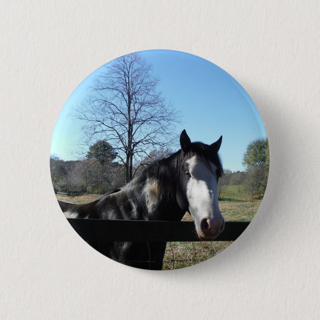 Badge Rond 5 Cm Brown &blanc, Cheval Peint, ciel bleu vif (Devant)