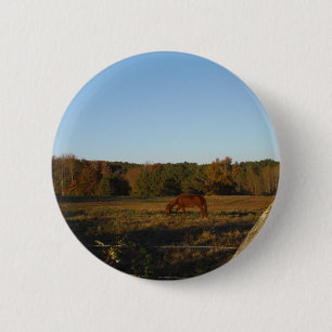 Badge Rond 5 Cm Brown horse in the Sun