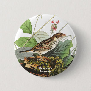 Badge Rond 5 Cm Bruant de Henslow, Oiseau, Audubon Art, Oiseau