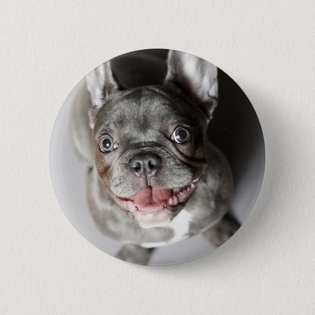 Badge Rond 5 Cm Bulldog français (Devant)