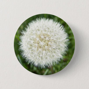 Badge Rond 5 Cm bulle