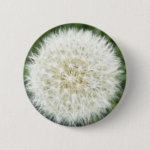 Badge Rond 5 Cm bulle