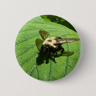 Badge Rond 5 Cm Bumble Bee