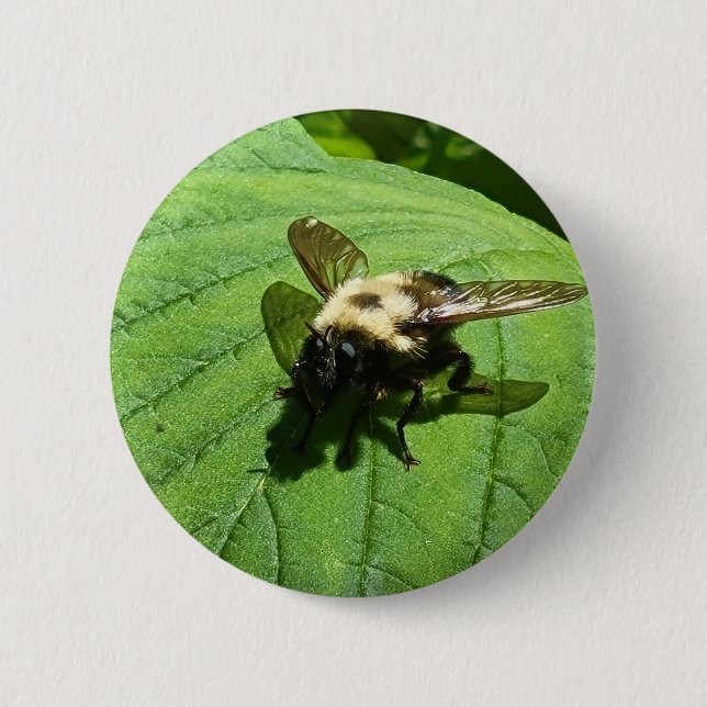 Badge Rond 5 Cm Bumble Bee (Devant)