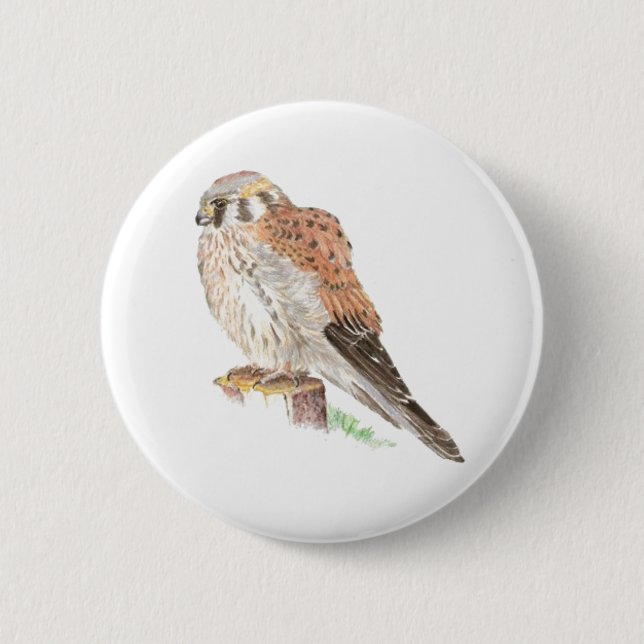 Badge Rond 5 Cm Buse à mouches Kestrel, Aquarelle (Devant)