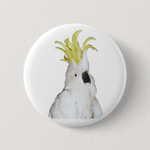 Badge Rond 5 Cm Cacatoès