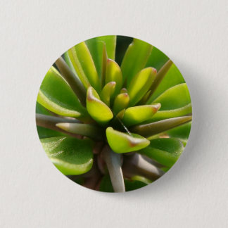 Badge Rond 5 Cm Cactus frais