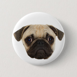 Badge Rond 5 Cm Cadeaux Carlins mignons