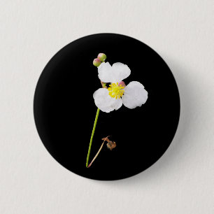Badge Rond 5 Cm Cadeaux et habillement blancs d'orchidée