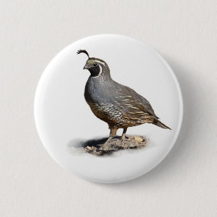 BADGE ROND 5 CM CAILLES DE CALIFORNIE