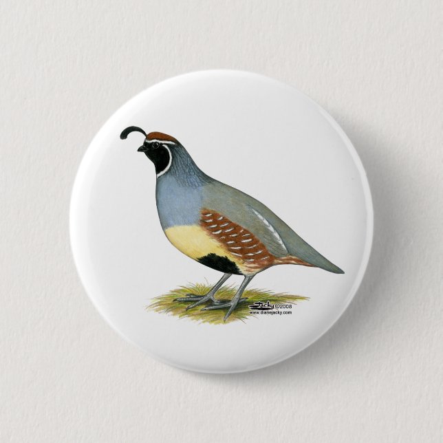 Badge Rond 5 Cm Cailles du désert de Gambel (Devant)