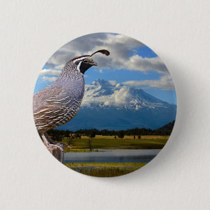 BADGE ROND 5 CM CAILLES ET SHASTA DE LA TA