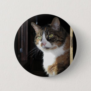 Badge Rond 5 Cm Calico Cat