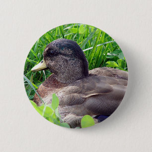 Badge Rond 5 Cm Call Duck Drake