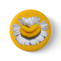 Camomille Radieuse Fleur Souriant Heureux